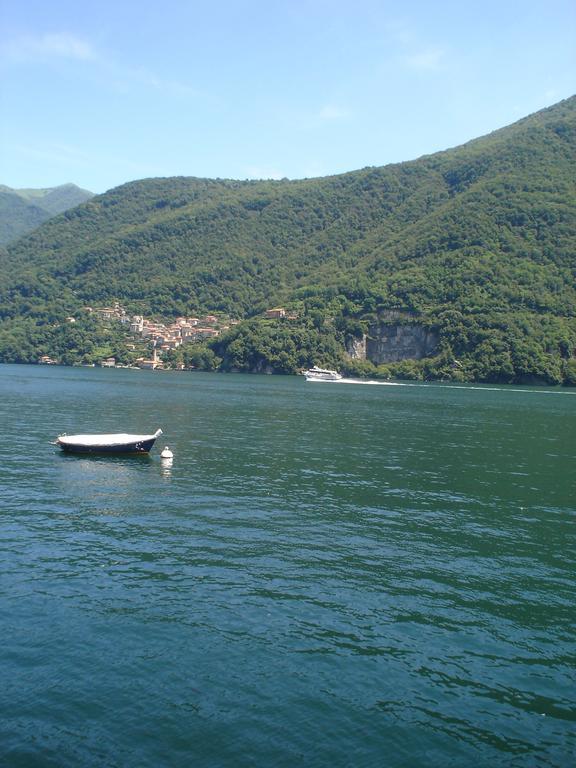 Guest house Plinio 3*